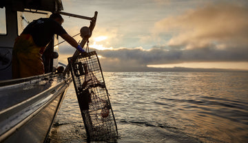 The History and Tradition of Maine Lobster Fishing