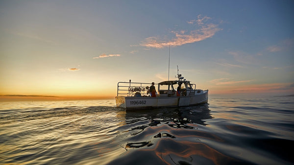 Maine lobster boat on water at dawn