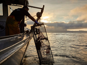 Maine lobster boat on water with lobaster pot